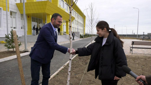 В новой школе  №14 идёт посадка деревьев 